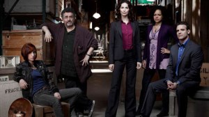 Cast of Warehouse 13