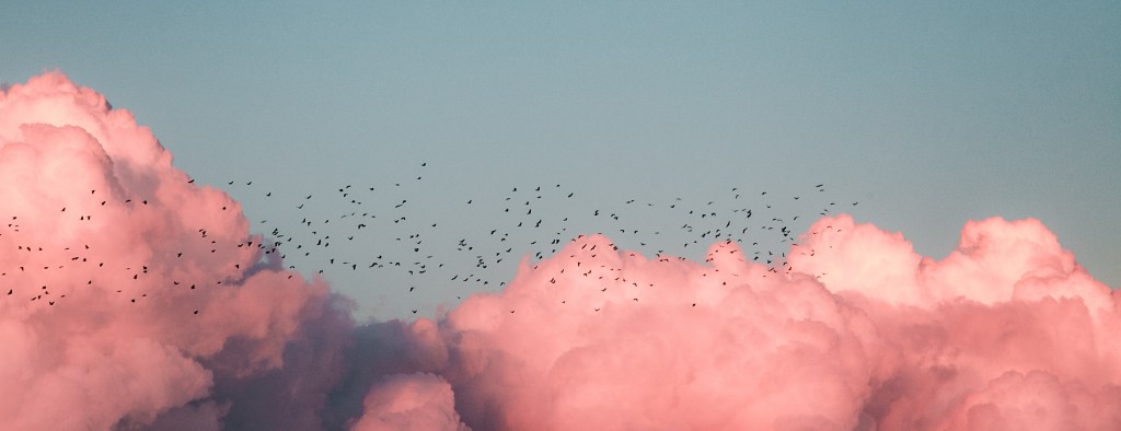 A flock of birds flying through clouds resembling pink cotton candy. Super inspiring.