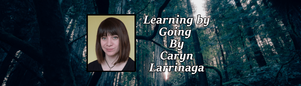 Learning by Going, by Caryn&nbsp;Larrinaga